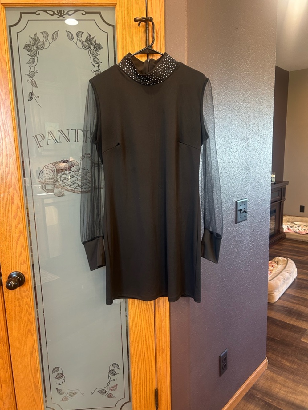 Black Mini Dress with Sheer Sleeves and Studded Collar